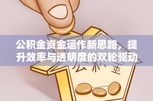 稻城公积金资金运作新思路，提升效率与透明度的双轮驱动