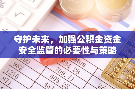 稻城守护未来，加强公积金资金安全监管的必要性与策略