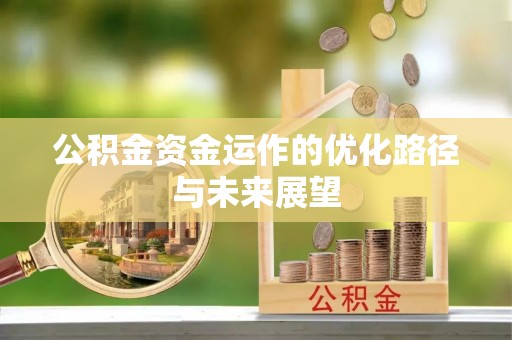 稻城公积金资金运作的优化路径与未来展望