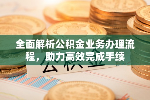 稻城全面解析公积金业务办理流程，助力高效完成手续