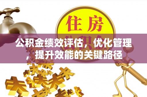 稻城公积金绩效评估，优化管理，提升效能的关键路径