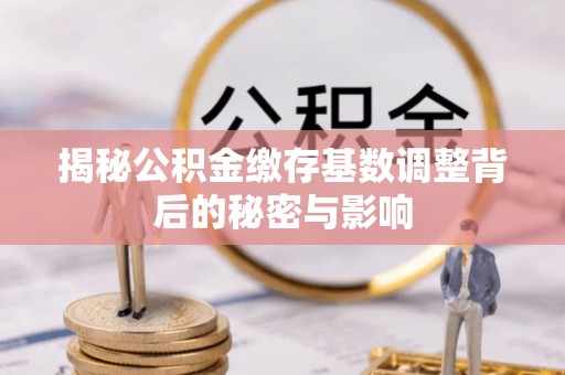 稻城揭秘公积金缴存基数调整背后的秘密与影响