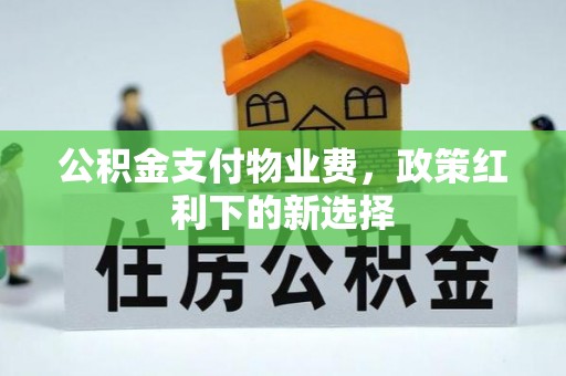 稻城公积金支付物业费，政策红利下的新选择
