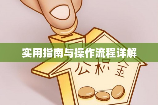稻城实用指南与操作流程详解