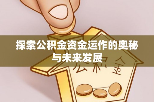 稻城探索公积金资金运作的奥秘与未来发展