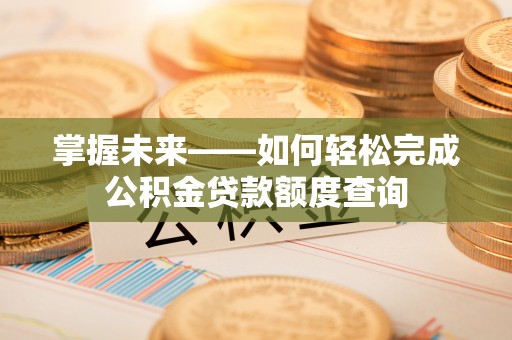 稻城掌握未来——如何轻松完成公积金贷款额度查询