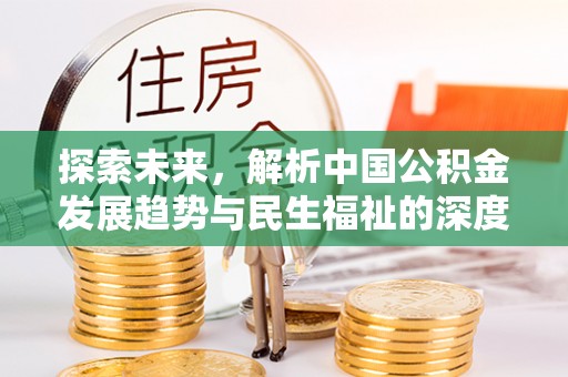 稻城探索未来，解析中国公积金发展趋势与民生福祉的深度融合