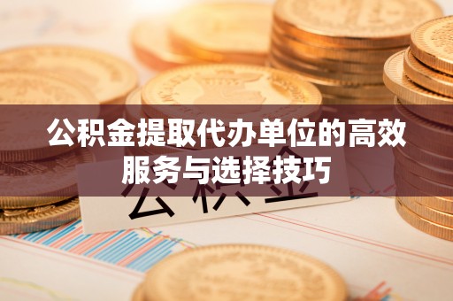 稻城公积金提取代办单位的高效服务与选择技巧
