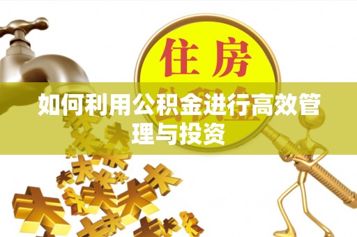 稻城如何利用公积金进行高效管理与投资
