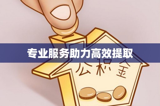 稻城专业服务助力高效提取