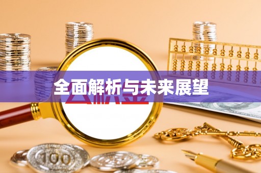 稻城全面解析与未来展望