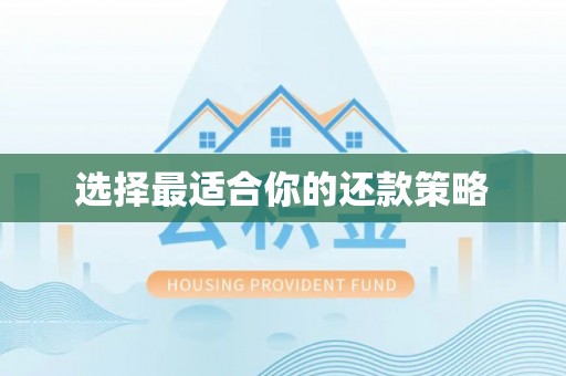 稻城选择最适合你的还款策略