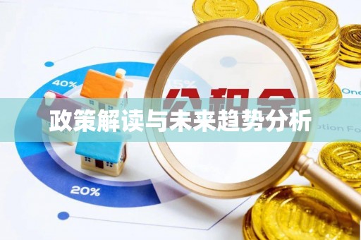 稻城政策解读与未来趋势分析