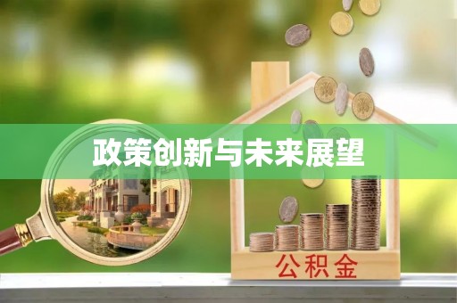 稻城政策创新与未来展望