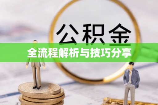 稻城全流程解析与技巧分享
