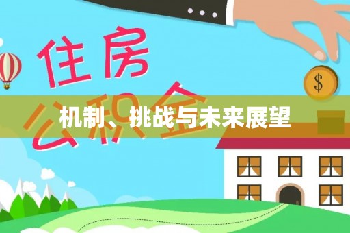 稻城机制、挑战与未来展望