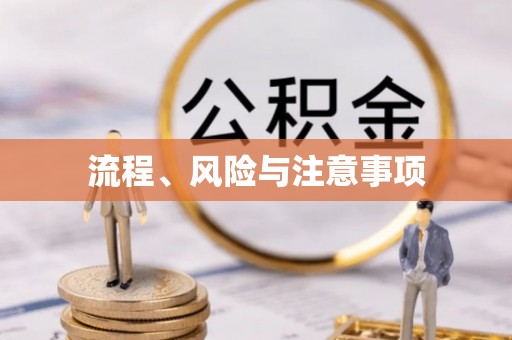 稻城流程、风险与注意事项
