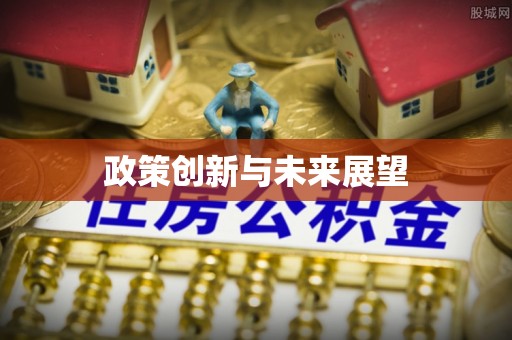 稻城政策创新与未来展望