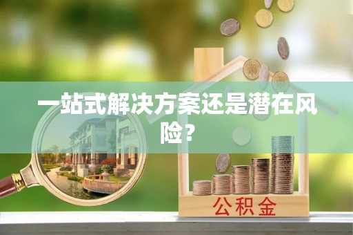 稻城一站式解决方案还是潜在风险？