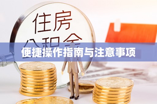 稻城便捷操作指南与注意事项