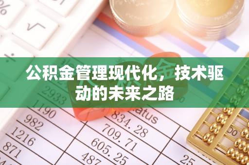 稻城公积金管理现代化，技术驱动的未来之路